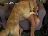 Threesome with dog on the couch